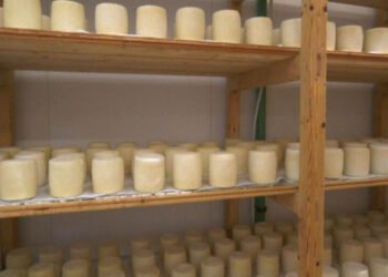 Αθ. Καββαδάς: 330 τόνοι ώριμων τυριών έχουν διατεθεί στην εγχώρια αγορά από τη Λέσβο