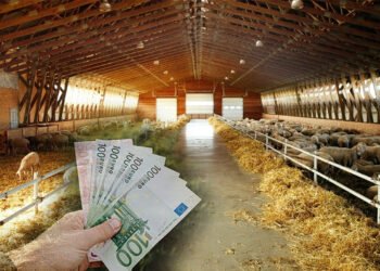 Πληρωμή 22,7 εκατ. ευρώ για αποζημιώσεις κτηνοτρόφων λόγω ευλογιάς και αφθώδους πυρετού