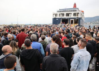 Αλυσιδωτές αντιδράσεις στην οικονομία της Λέσβου: Στο πλευρό των κτηνοτρόφων και ο Σύλλογος Μεσιτών
