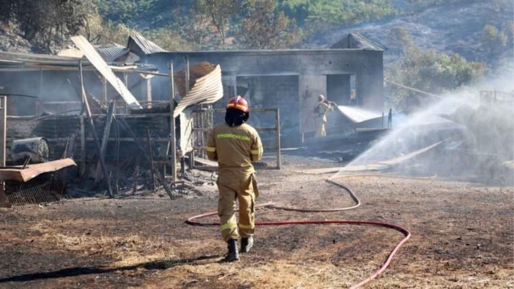 Τιτάνια μάχη με τη φωτιά στη Λέσβο: Καλύτερη εικόνα, χωρίς ενιαίο ενεργό μέτωπο – Δύο ελαφρά τραυματισμένοι πυροσβέστες