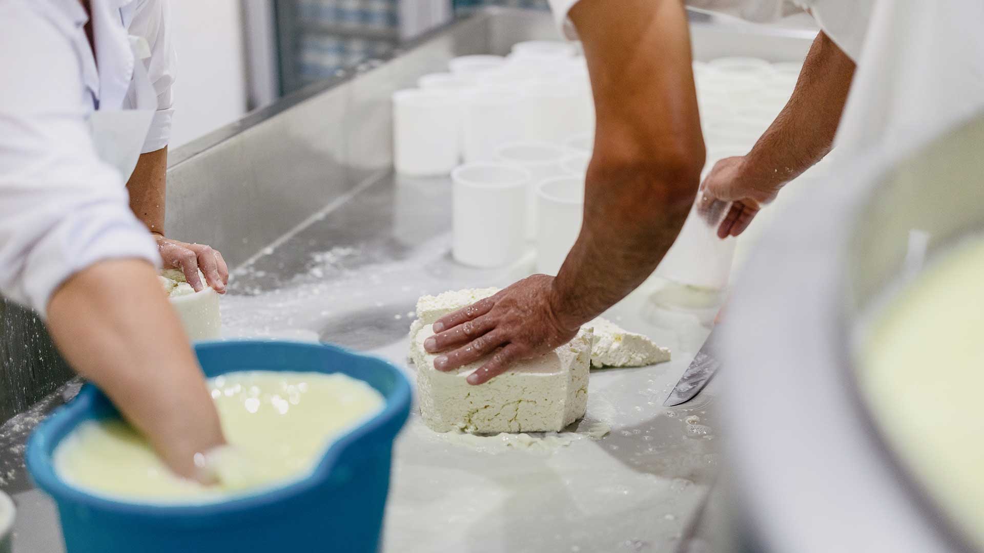 https://www.gastronomos.gr/wp-content/uploads/2026/04/lesvos-afthodis-pyretos-4-gastronomos.jpg