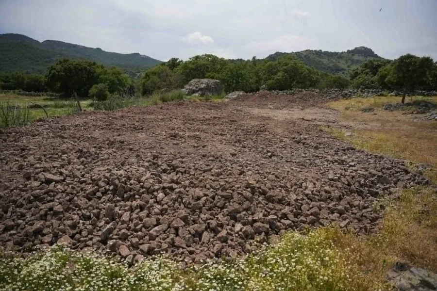 https://www.in.gr/wp-content/uploads/2026/05/lesvos-afthodis1.webp