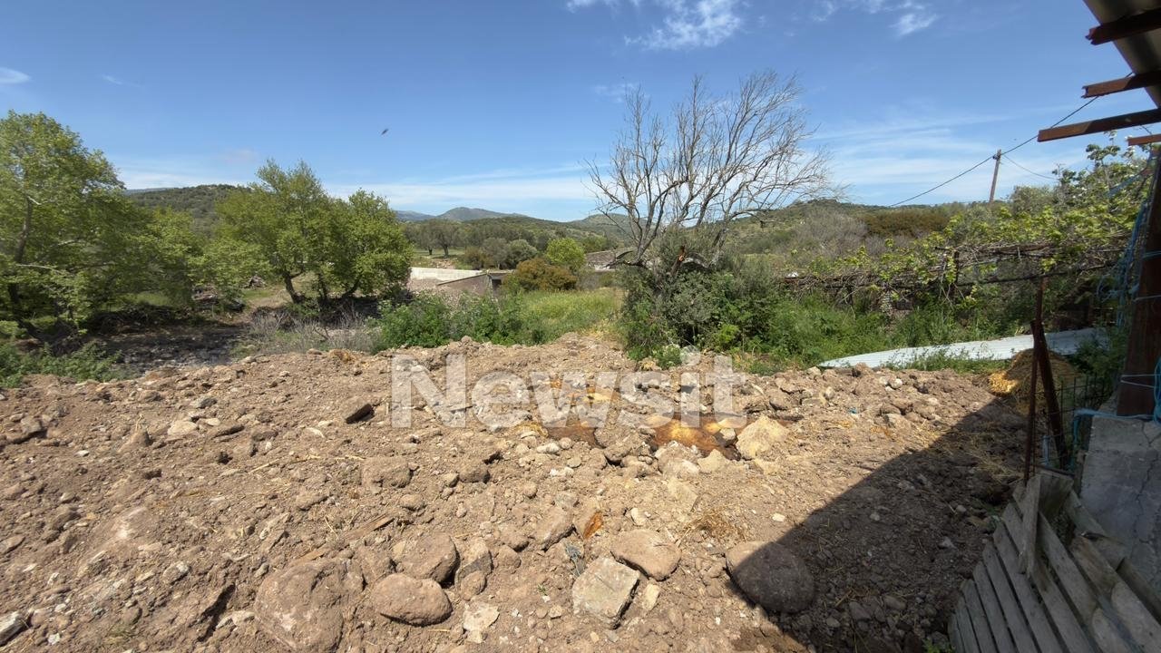 https://www.newsit.gr/wp-content/uploads/2026/04/lesvos-thammenazoa.jpg