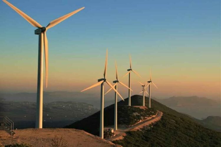 Χίος: Φυτεύουν ανεμογεννήτριες στα μαστιχοχώραφα