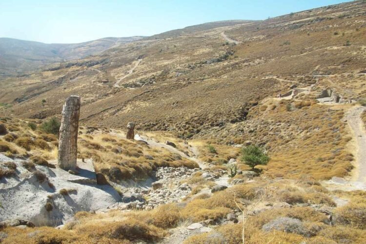 Σίγρι: Το απολιθωμένο δάσος της Λέσβου που μοιάζει με σκηνικό άλλου πλανήτη