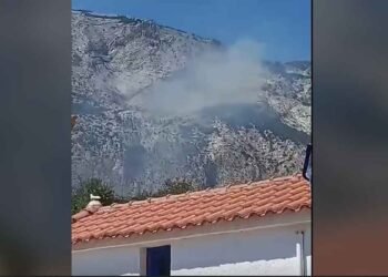 Σάμος: Βίντεο ντοκουμέντο από τη φωτιά στον Μαραθόκαμπο – Η στιγμή που εκρήγνυται βλήμα – Χωρίς ενεργό πύρινο μέτωπο
