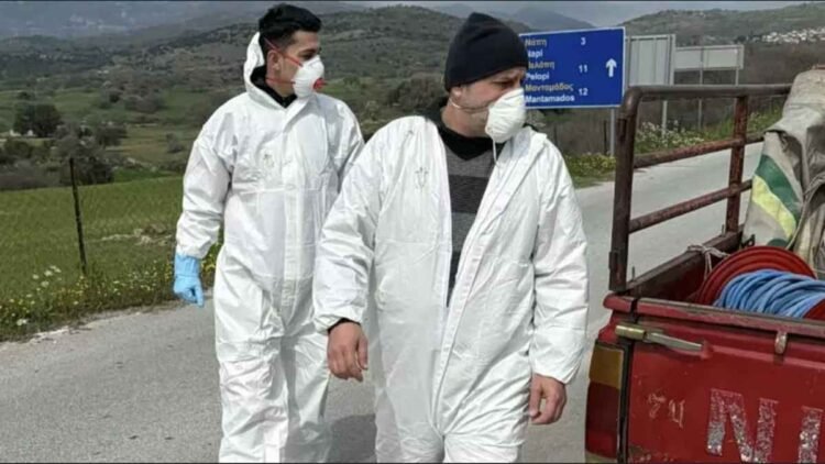 Αφθώδης πυρετός στη Λέσβο: Νέα κρούσματα και ανησυχία για τα ελεύθερα ζώα
