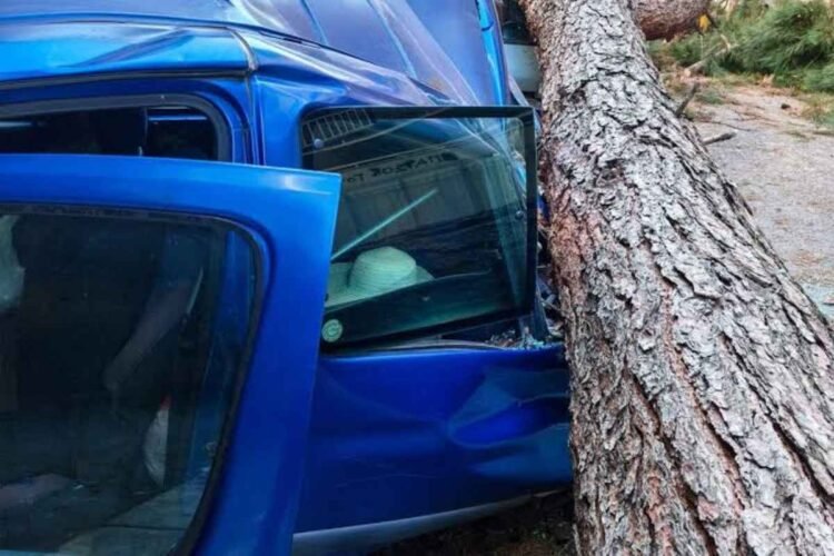 Λέσβος: Συλλήψεις για ηχορύπανση και όπλα – Σοβαρός τραυματισμός σε τροχαίο