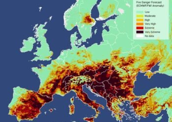 Από την Ελλάδα μέχρι το Βέλγιο, πάνω από 5 εκατ. στρέμματα έγιναν στάχτη το φετινό καλοκαίρι