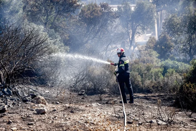 Λέσβος: Χειροπέδες σε 44χρονο για πρόκληση πυρκαγιάς από αμέλεια