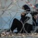Χρυσές δουλειές στην… πλάτη των μεταναστών: Ερευνα για το πάρτι εκατομμυρίων στο προσφυγικό